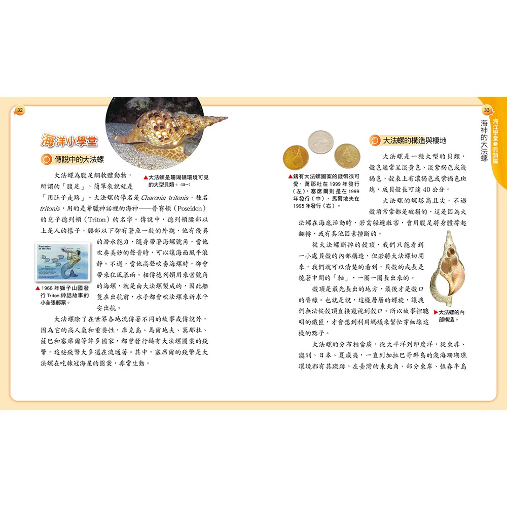 書適》阿德蝸的海洋學堂：海神的大法螺（二版） /小兵-細節圖3