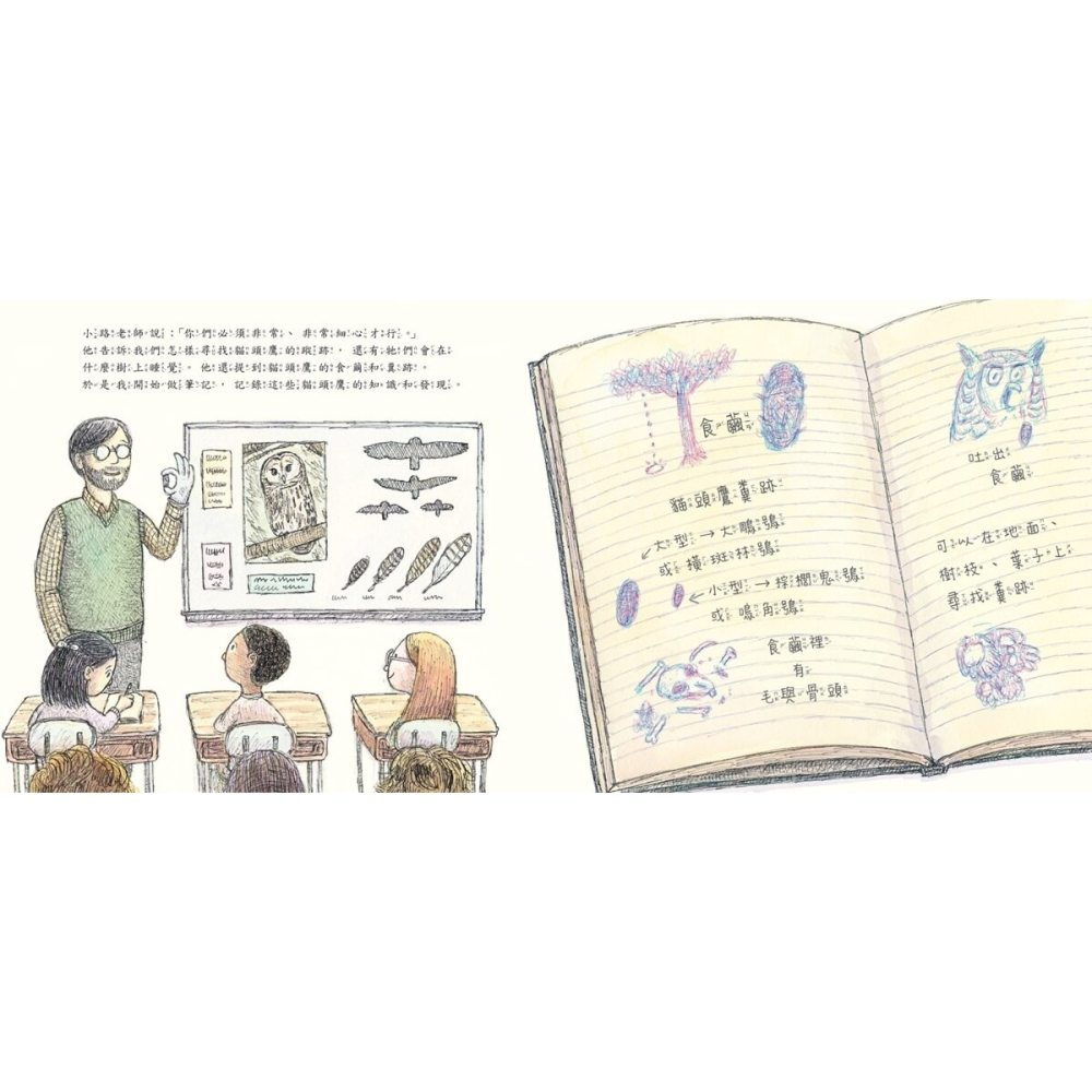 書適》發現貓頭鷹 /馬修・科戴爾 /小天下-細節圖5