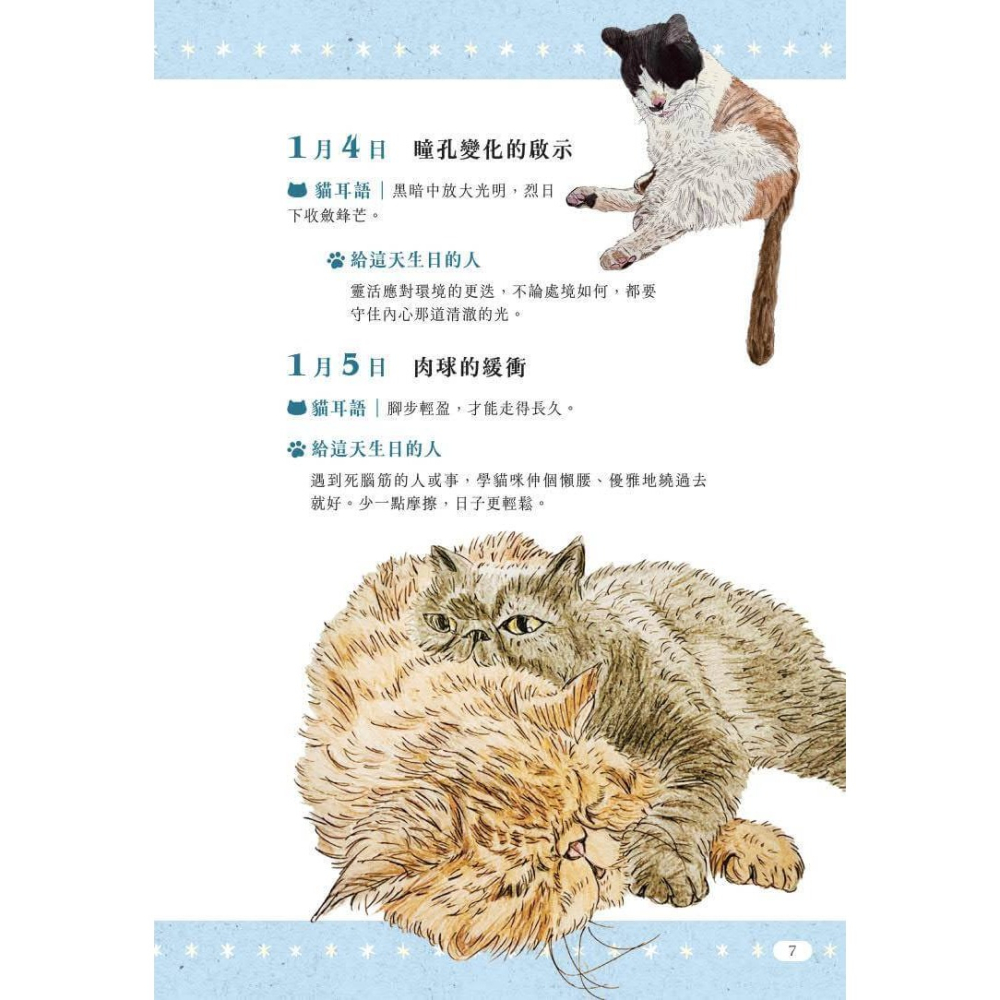 書適》一日一句貓耳語：讓貓咪每天為你不停加油！ /很高興-細節圖4