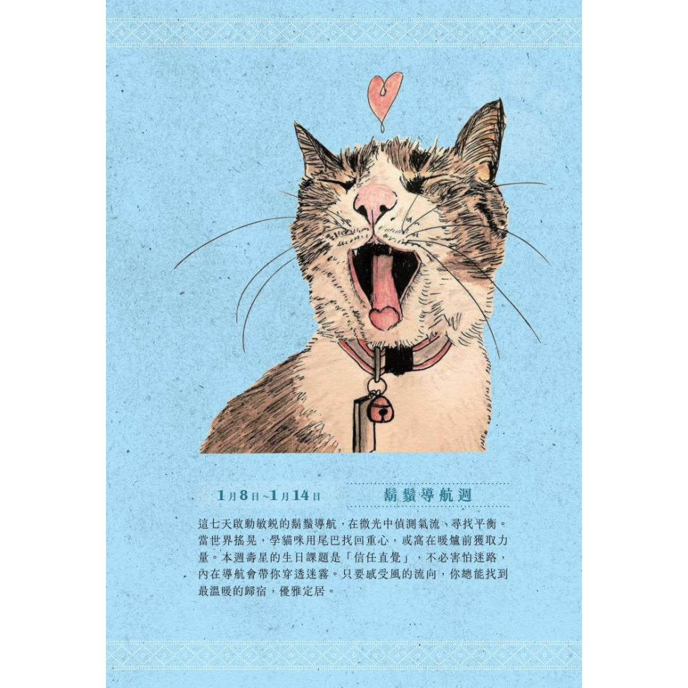 書適》一日一句貓耳語：讓貓咪每天為你不停加油！ /很高興-細節圖5