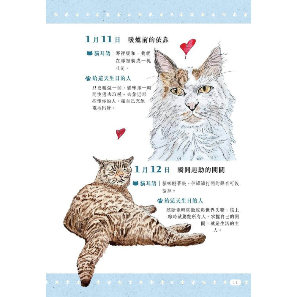 書適》一日一句貓耳語：讓貓咪每天為你不停加油！ /很高興-細節圖6