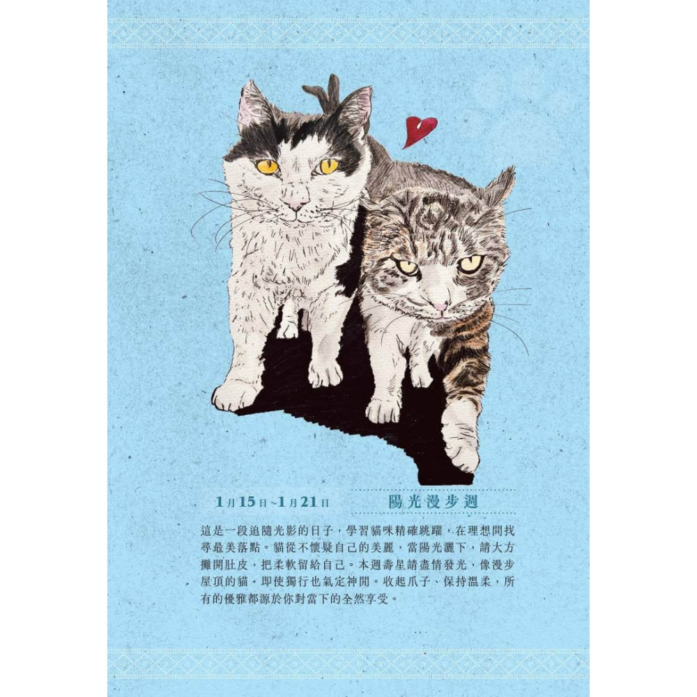 書適》一日一句貓耳語：讓貓咪每天為你不停加油！ /很高興-細節圖7