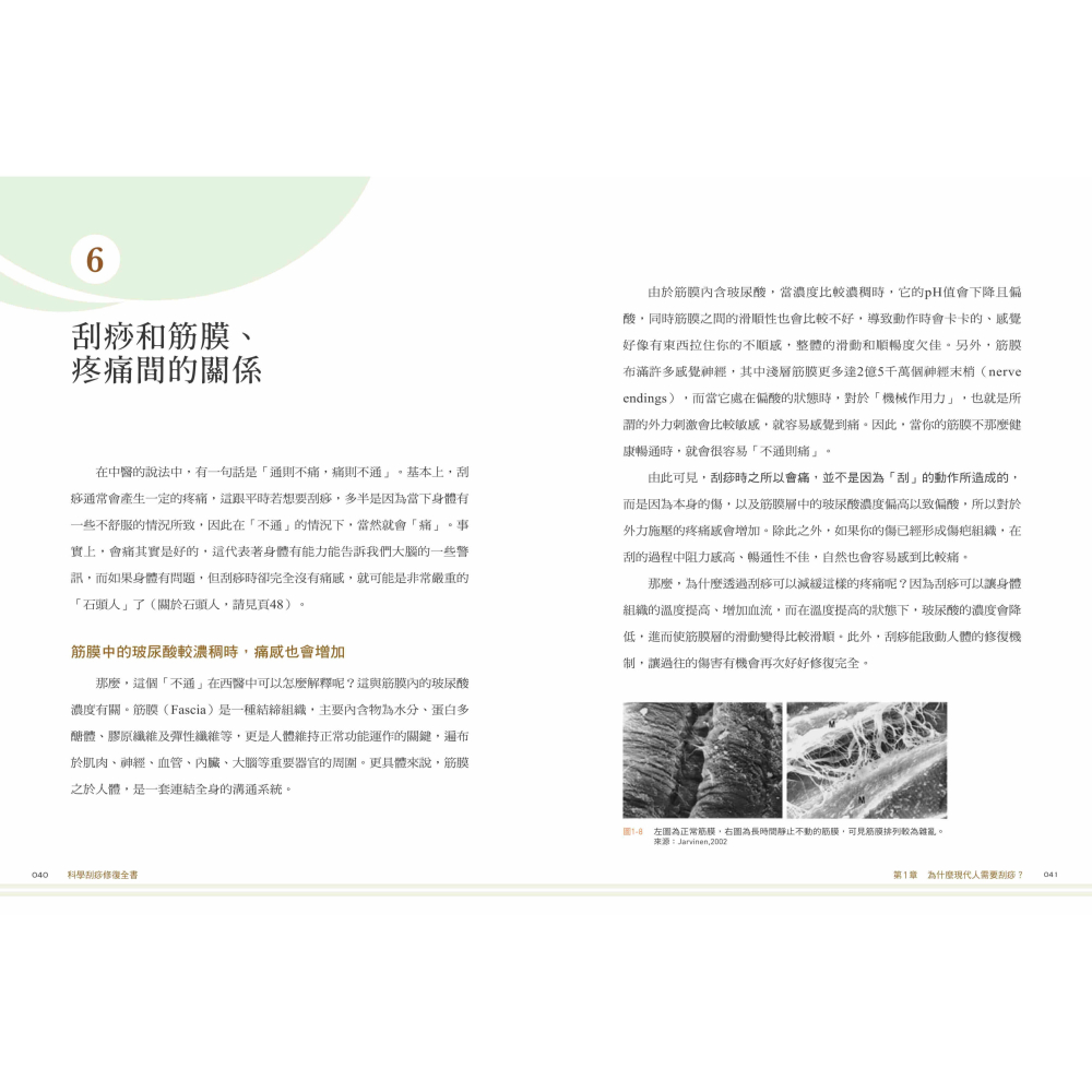 書適》科學刮痧修復全書〔熱銷回饋版〕：【圖解】８大部位×34個對症手法，從痧圖回推傷害，讓身體再也不疼痛 /聯經-細節圖5