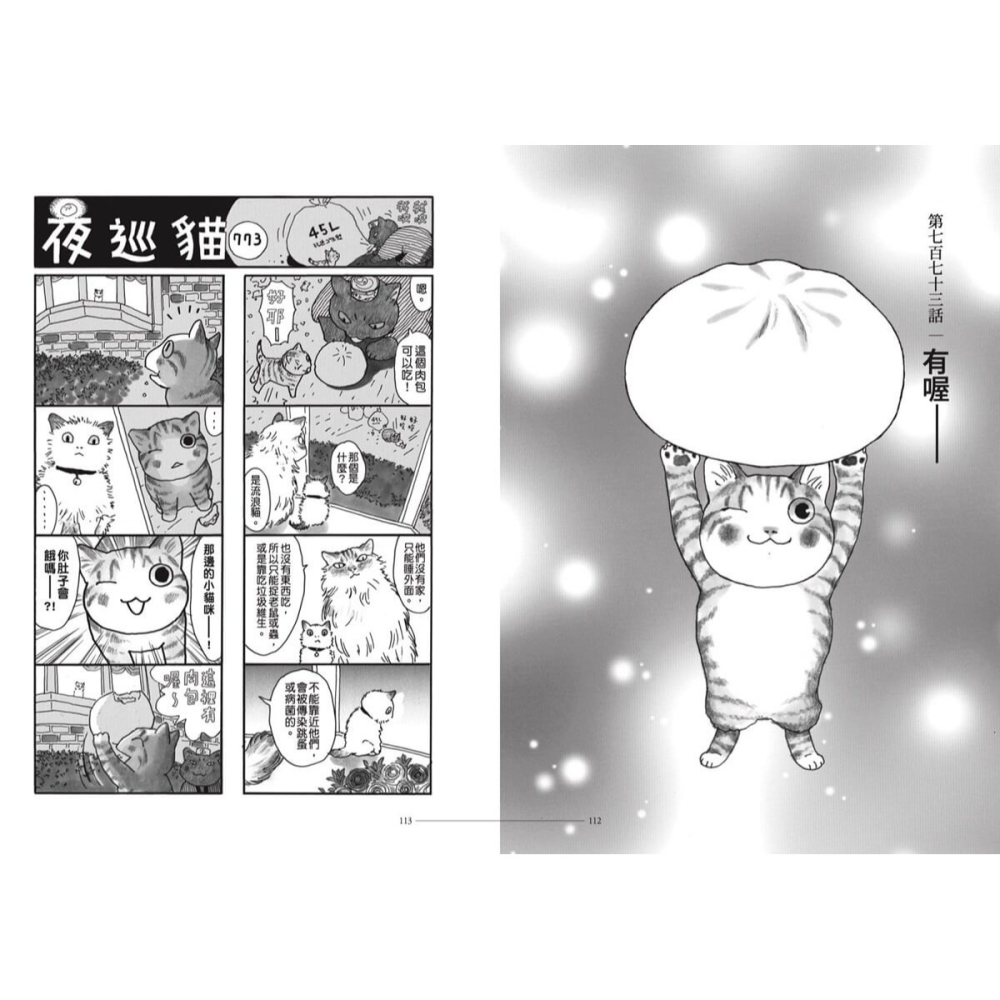 書適》夜巡貓9 /深谷薰 /大塊-細節圖8
