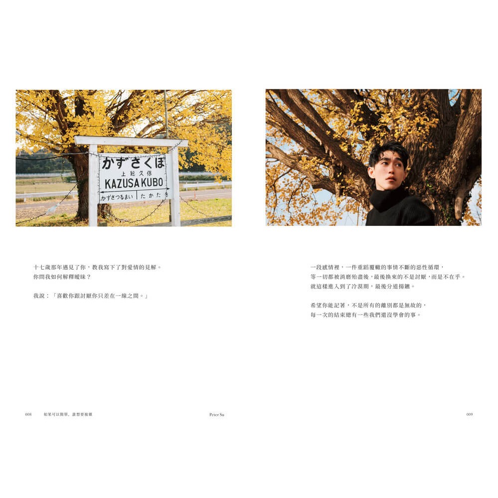 書適》如果可以簡單，誰想要複雜(暢銷經典新編版) /Peter Su /是日創意-細節圖3