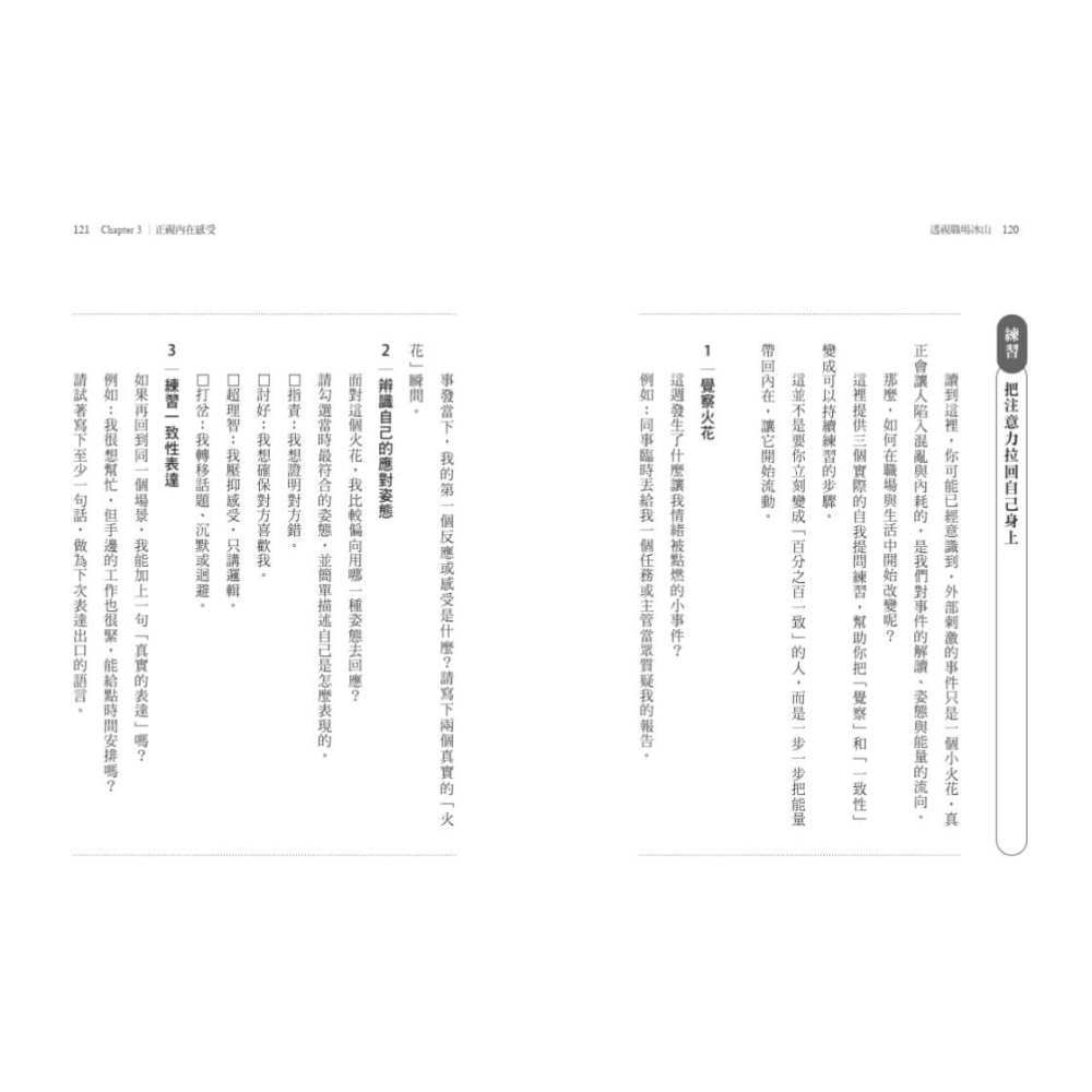 書適》透視職場冰山：薩提爾帶你終止內耗，打造高能量的行動力 /李崇義、謝佳芸 /天下文化-細節圖7