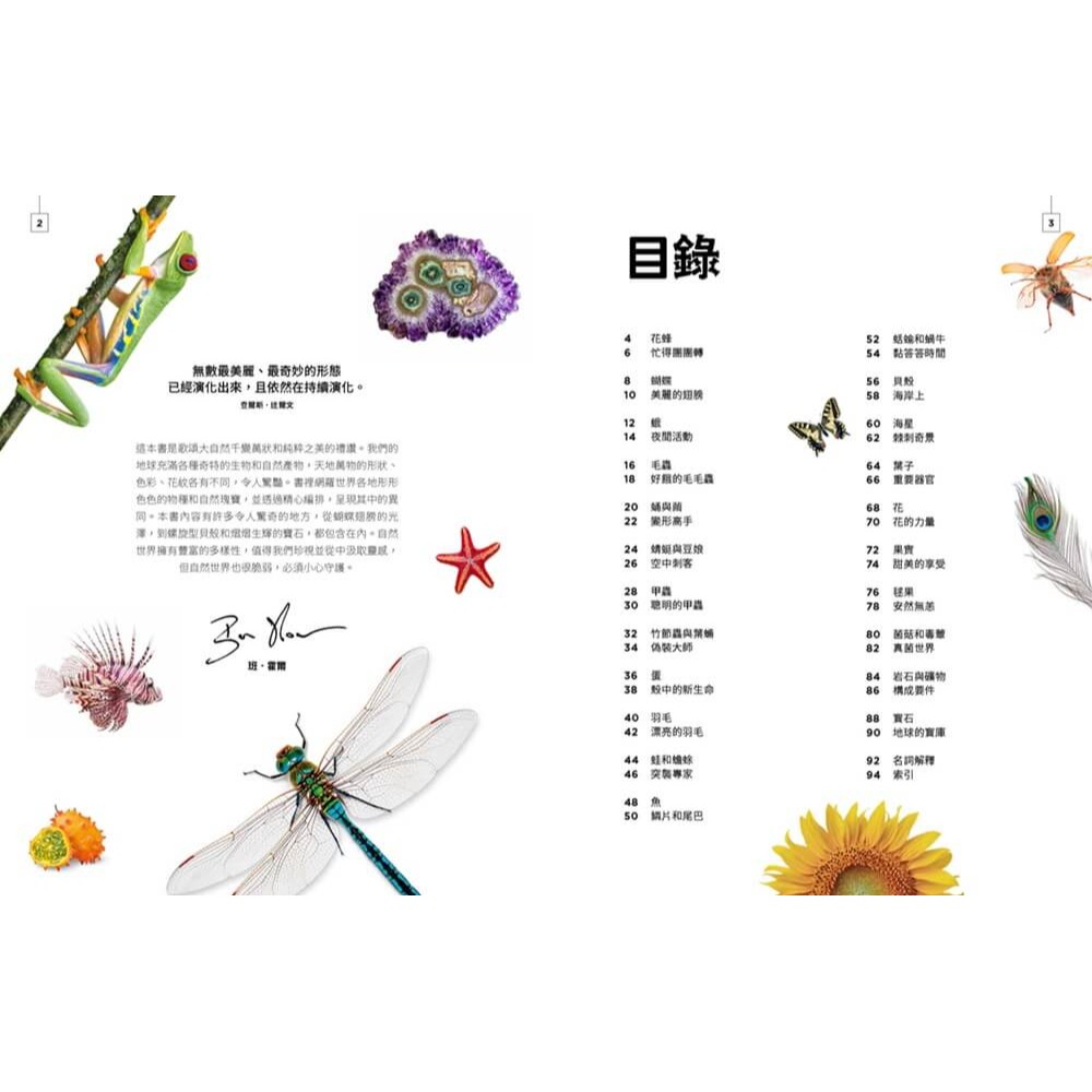 書適》小小觀察家的自然博物館：收藏自然界繽紛的形態與色彩，看見地球萬物的奧妙 /班．霍爾 /大石-細節圖2