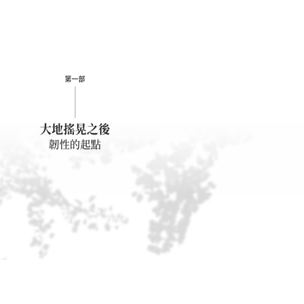 書適》超仁：花蓮慈濟醫院的韌性醫療與使命 /天下文化-細節圖8