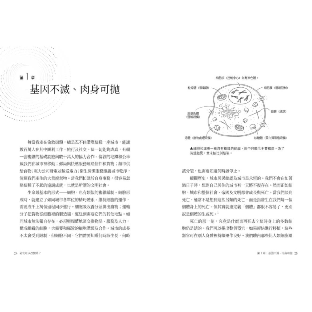 書適》老化可以改變嗎？：探討衰老的機制與永生的可能 /文基．拉馬克里希南 /天下文化-細節圖5