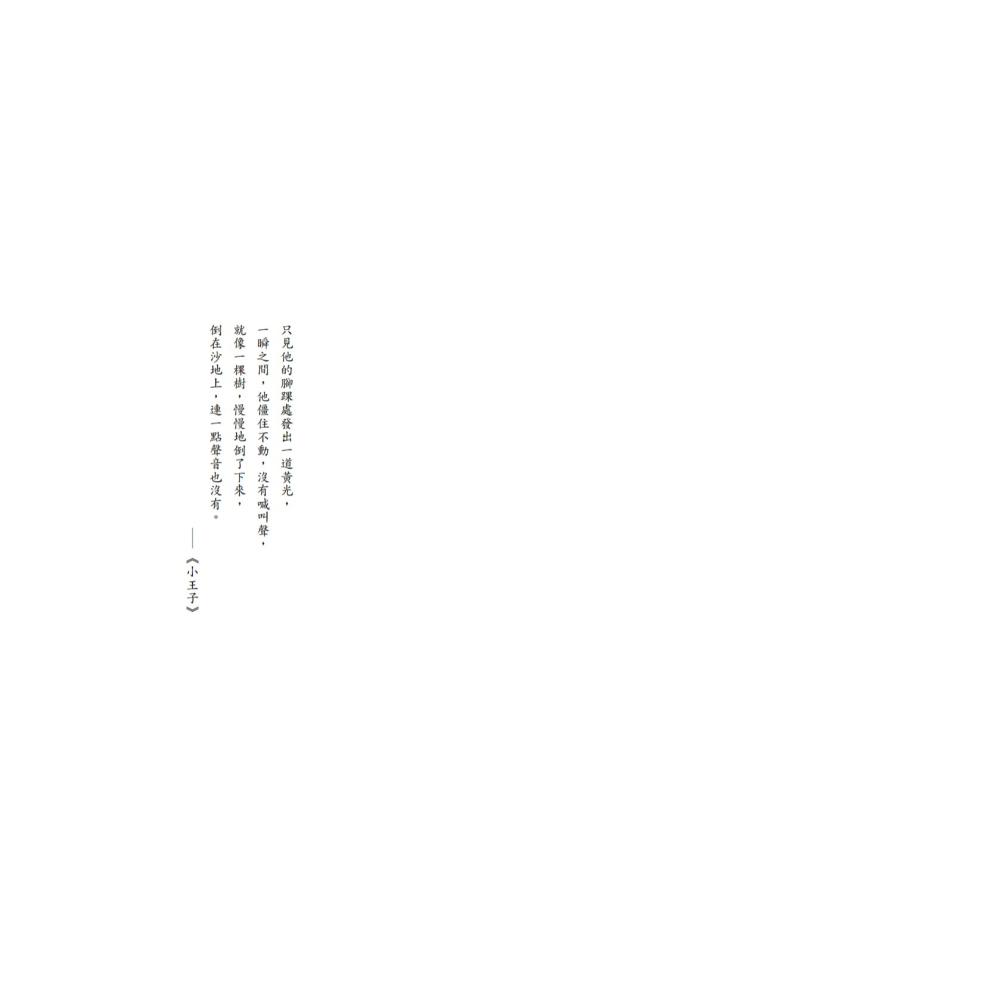 書適》誰殺了小王子？（致敬《小王子》出版80週年，法國懸疑天王代表作！） /米榭．卜熙 /聯經-細節圖2