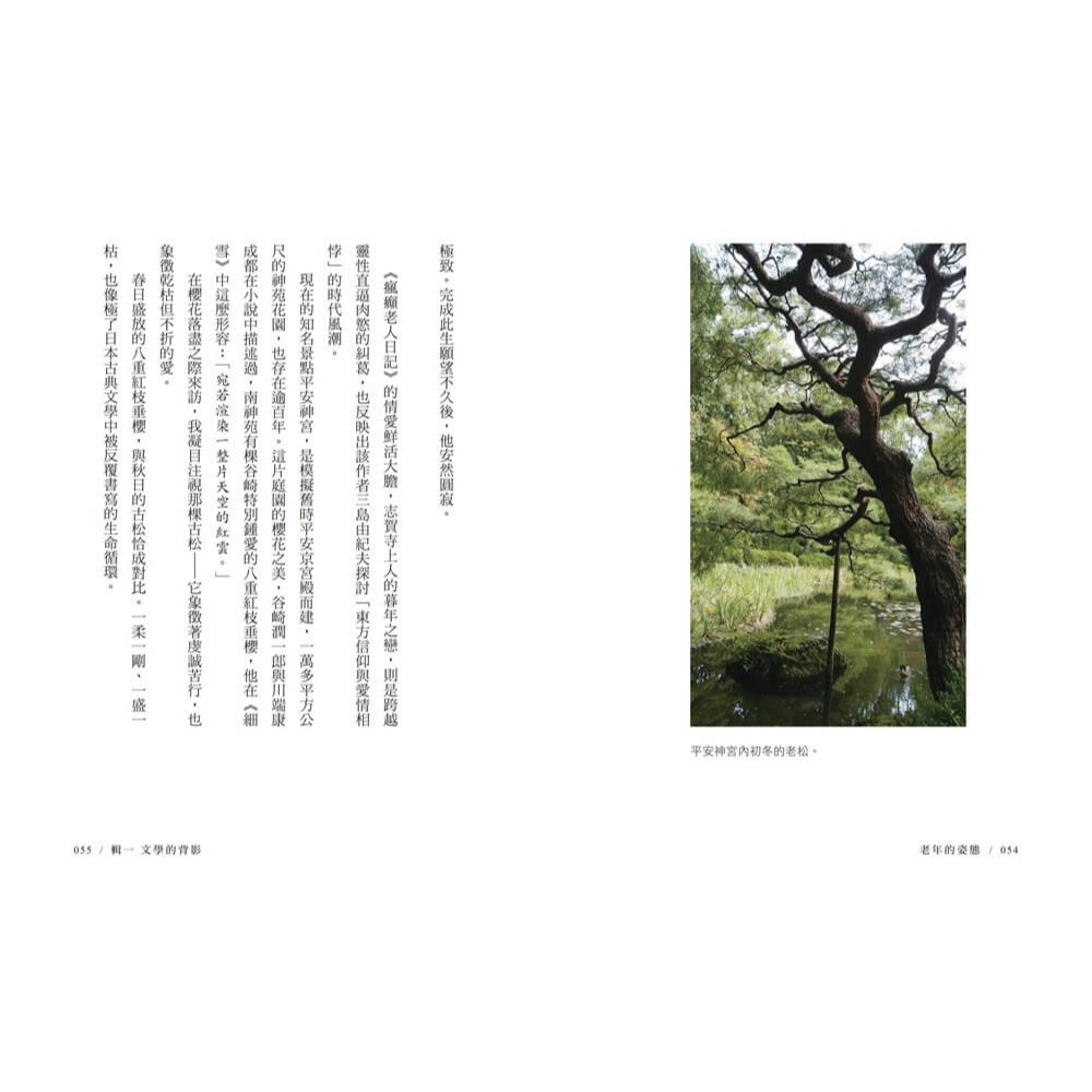 書適》老年的姿態：老去，不是停止，而是另一種開始 /姚巧梅 /大溏-細節圖4