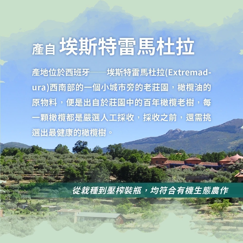 DIH【囍瑞BIOES】瑪伊娜有機100%冷壓初榨特級橄欖油(1瓶500ml)-效期2028.03.10-細節圖3
