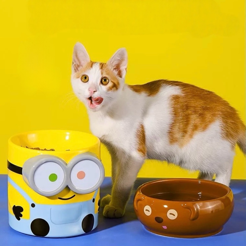 【熊盒子】 正版授權🔖 MINIONS 小小兵 小黃人 BOB+TIM 寵物碗 水杯 貓狗適用 寵物用品-細節圖3