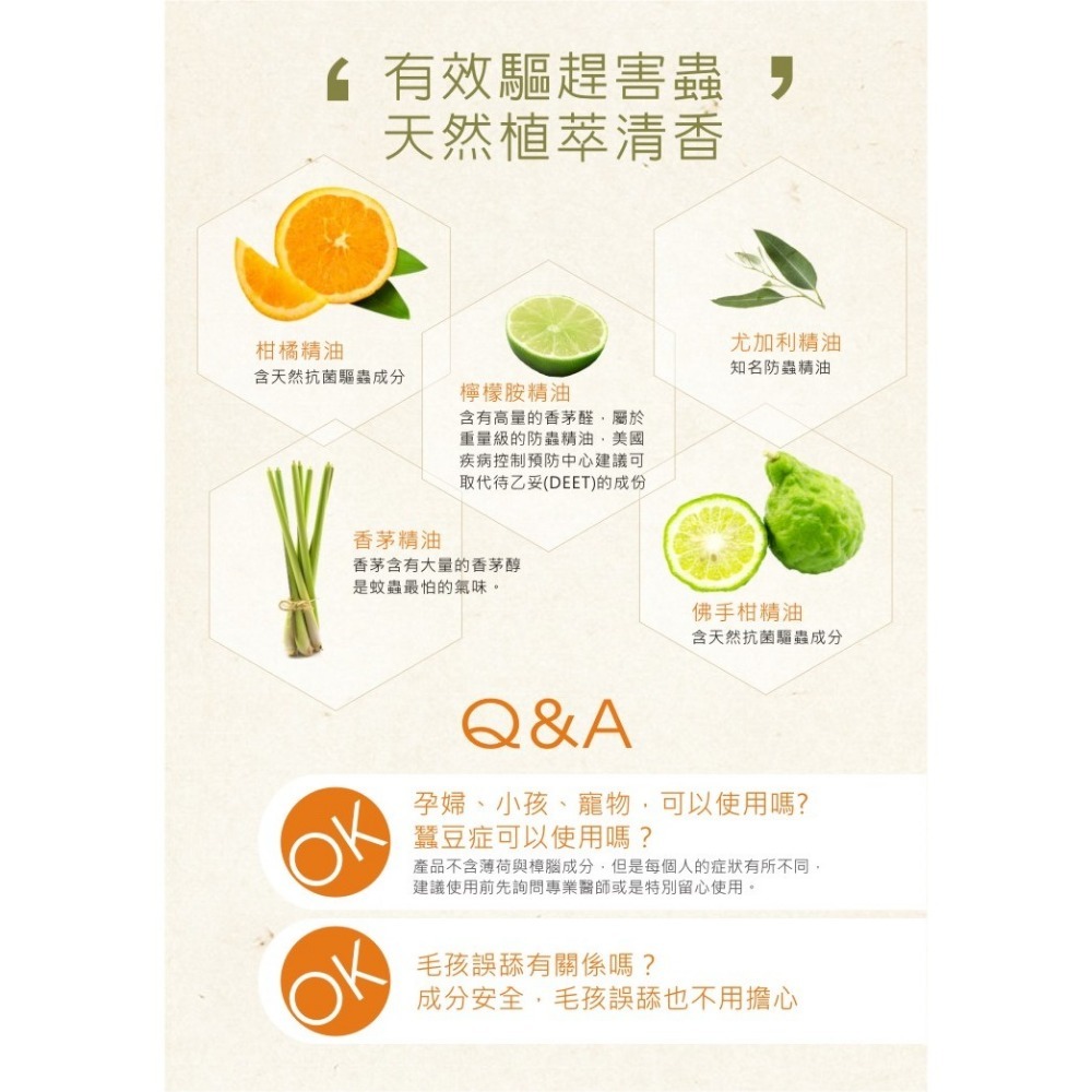 《 Chara 微百貨 》 台灣 清檜 天然 驅蟲 防蟑 蟑螂 螞蟻 噴劑 萬用 清潔劑 活氧泡泡 水垢 團購 批發-細節圖4