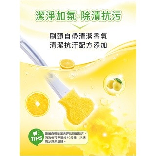 《 Chara 微百貨 》 3M 百利 替換式 馬桶刷 1柄2 刷頭 補充包 5刷頭 薰衣草 香檸 超強淨 香氛-細節圖3