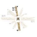 好幫手》原木夾(樺木夾 松木夾 小木夾 原木衣夾 松木衣夾 樺木衣夾小衣夾 隨手夾 衣夾-規格圖4