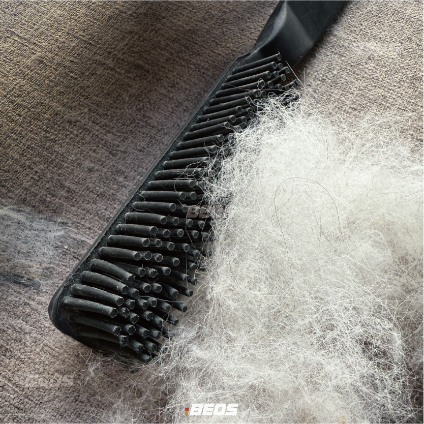 •BEOS• 寵物毛刷 寵物毛專用刷 除毛器 動物毛刷 車用寵物除毛 狗毛刷 貓毛刷 靜電除毛刷 寵物毛清理-細節圖2