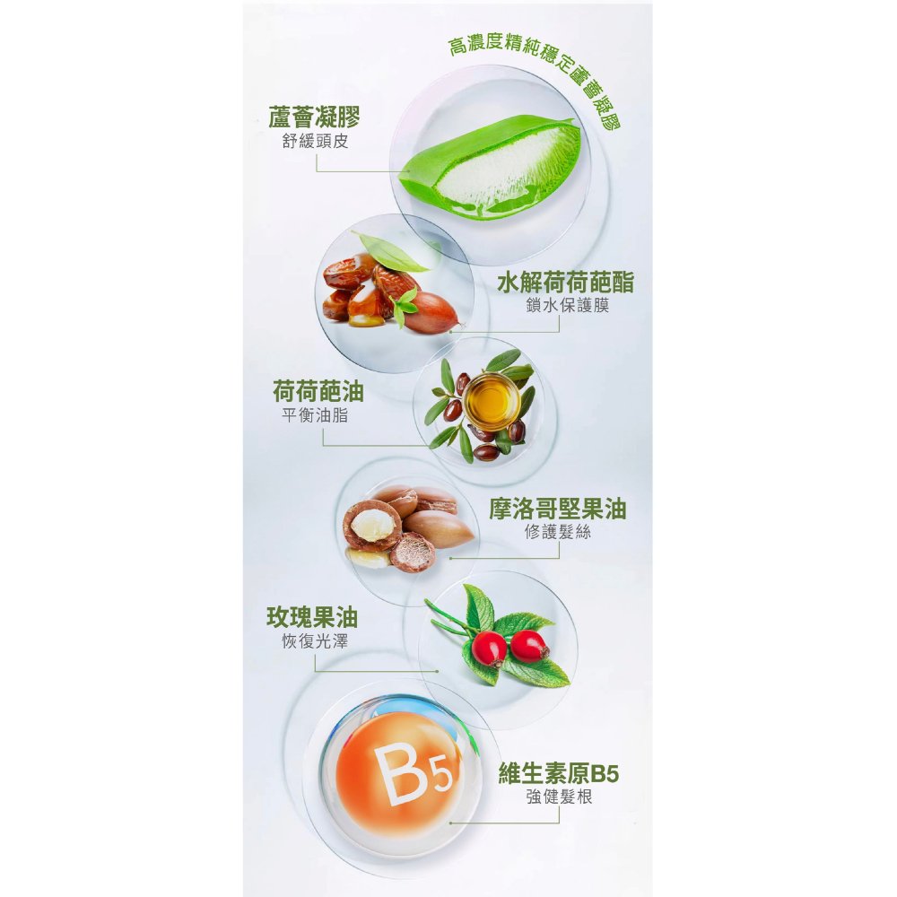 永久蘆薈荷荷葩洗髮~蘆薈荷荷葩洗髮精(升級版)$580元~~※ 全館消費採7-11貨到付款~消費滿額1000元免運費 ※-細節圖3