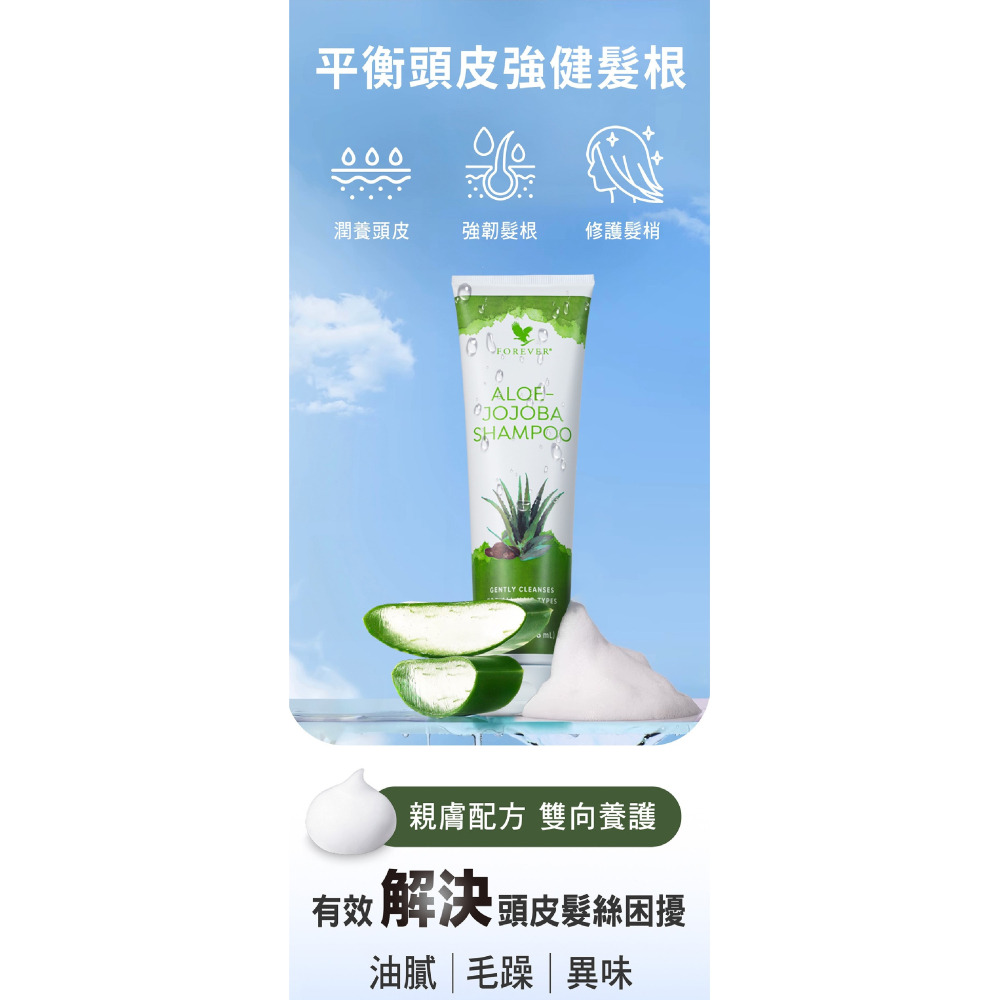 永久蘆薈荷荷葩護髮~蘆薈荷荷葩護髮素(升級版)$580元~~※ 全館消費採7-11貨到付款~消費滿額1000元免運費 ※-細節圖2