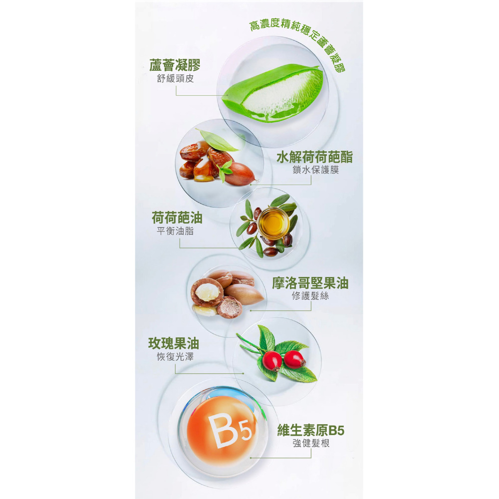 永久蘆薈荷荷葩護髮~蘆薈荷荷葩護髮素(升級版)$580元~~※ 全館消費採7-11貨到付款~消費滿額1000元免運費 ※-細節圖3