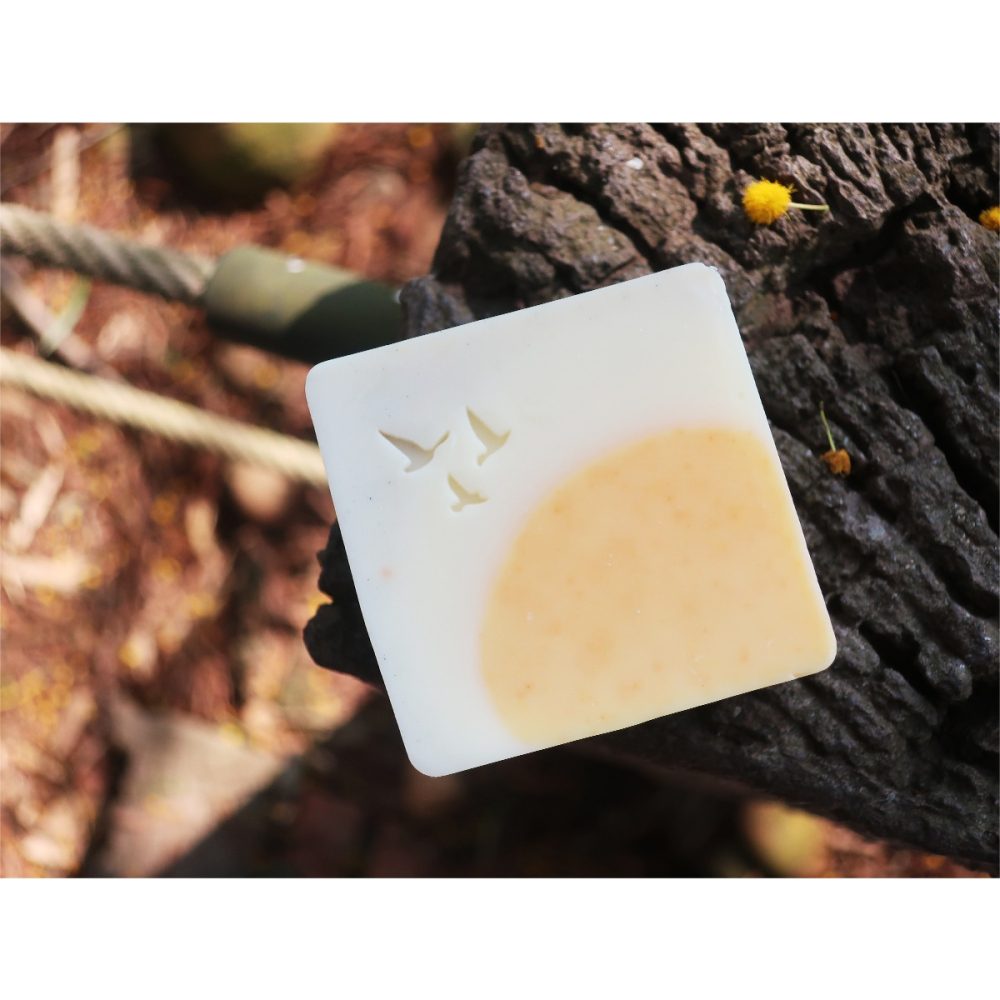 【皂章A80】飛鳥 (預購) 壓克力章 情境動物皂章 手工皂章-細節圖3
