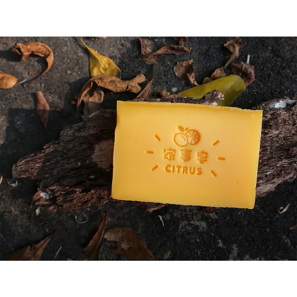 【皂章C02】檸檬 柑橘家事章 (預購) CITRUS 家事皂章 壓克力手工皂章-細節圖2