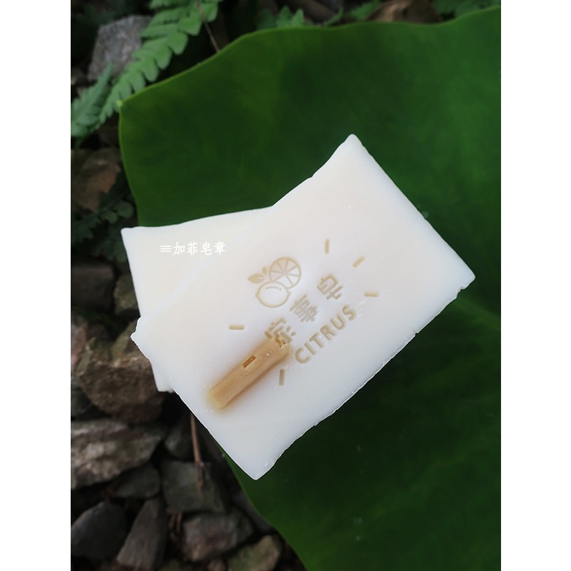 【皂章C02】檸檬 柑橘家事章 (預購) CITRUS 家事皂章 壓克力手工皂章-細節圖3
