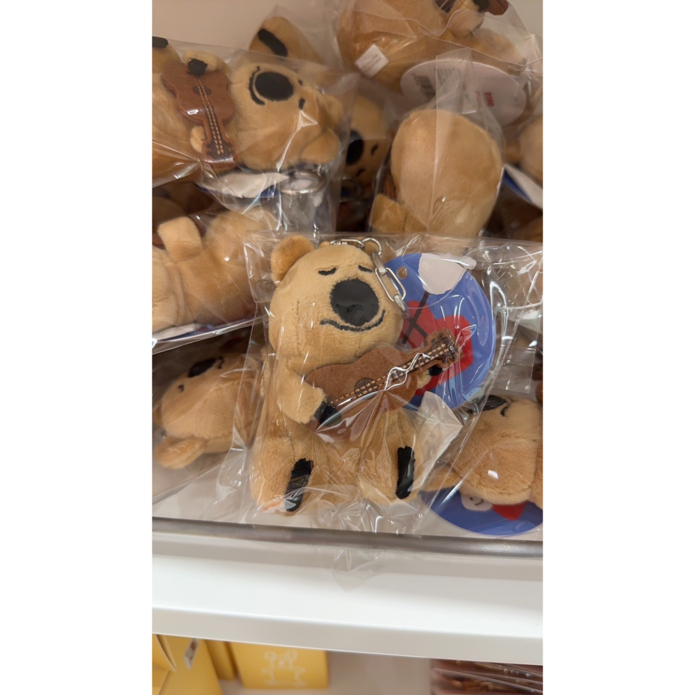 ᴢʜᴏᴜ🇰🇷 預購｜Dinotaeng ᴘᴏᴘ-ᴜᴘ 餘款：tina.lai.507｜韓國文創·品牌代購-細節圖4