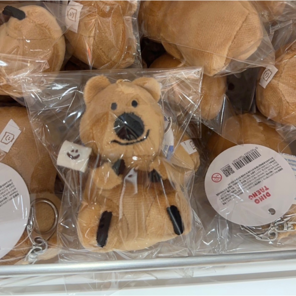 ᴢʜᴏᴜ🇰🇷 預購｜Dinotaeng ᴘᴏᴘ-ᴜᴘ 餘款：tina.lai.507｜韓國文創·品牌代購-細節圖6