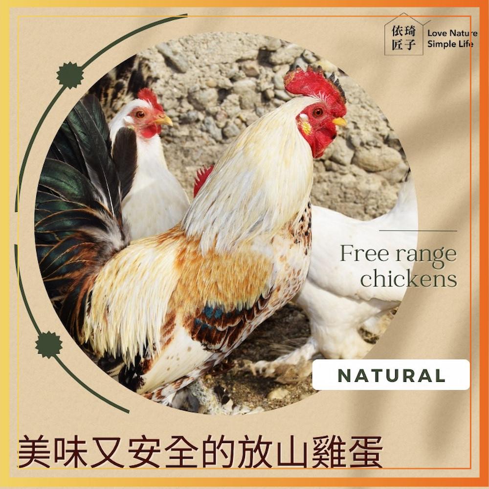 【超激食驗室】依琦匠子 秘製漢方滷蛋白 滷蛋白丁 高蛋白零食 健康低脂鹹零食 高蛋白健身零食 蛋白質零食 蛋白質補充-細節圖6