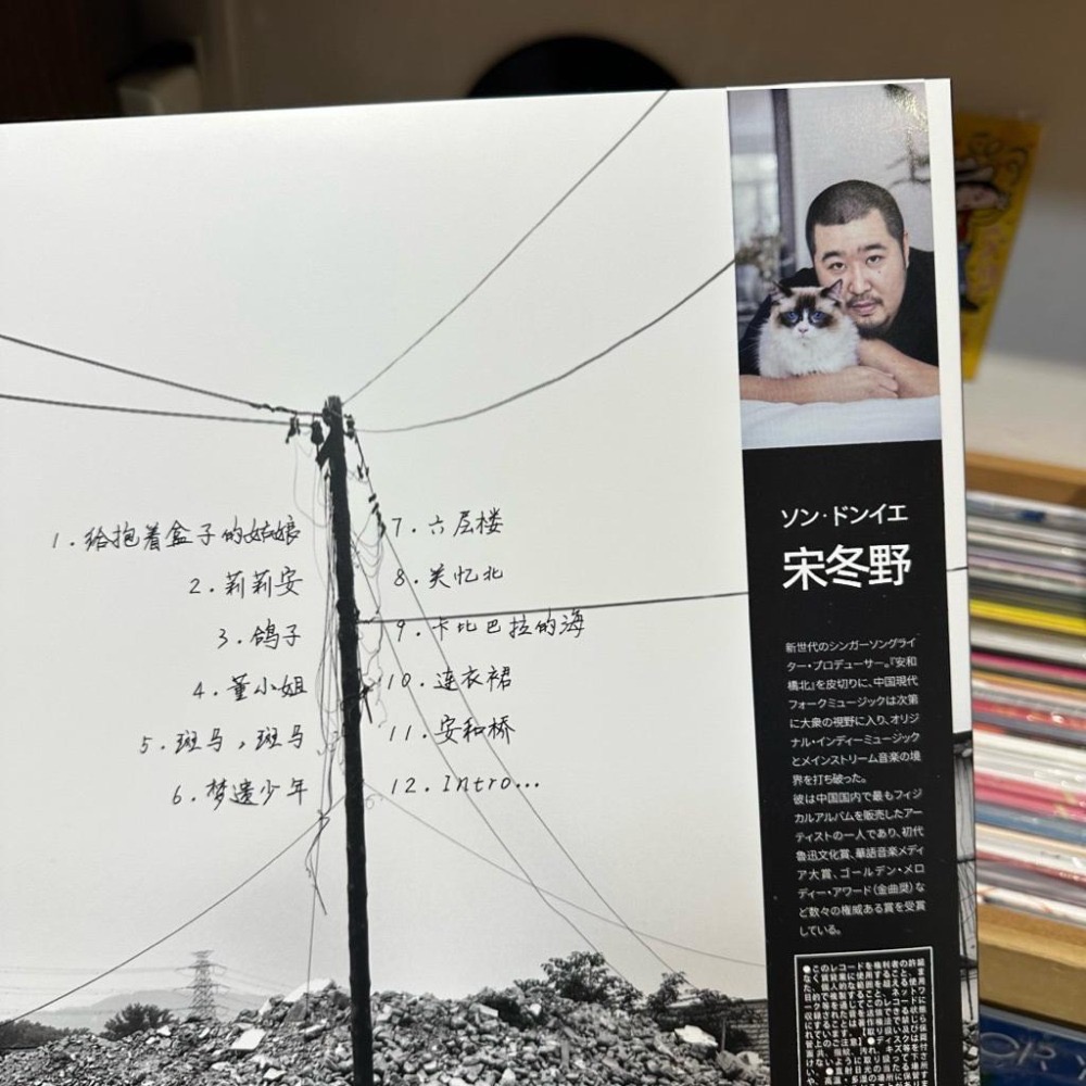 【日版黑膠】宋冬野《安和橋北》高音質45轉雙片膠有日文側標 現貨-細節圖3