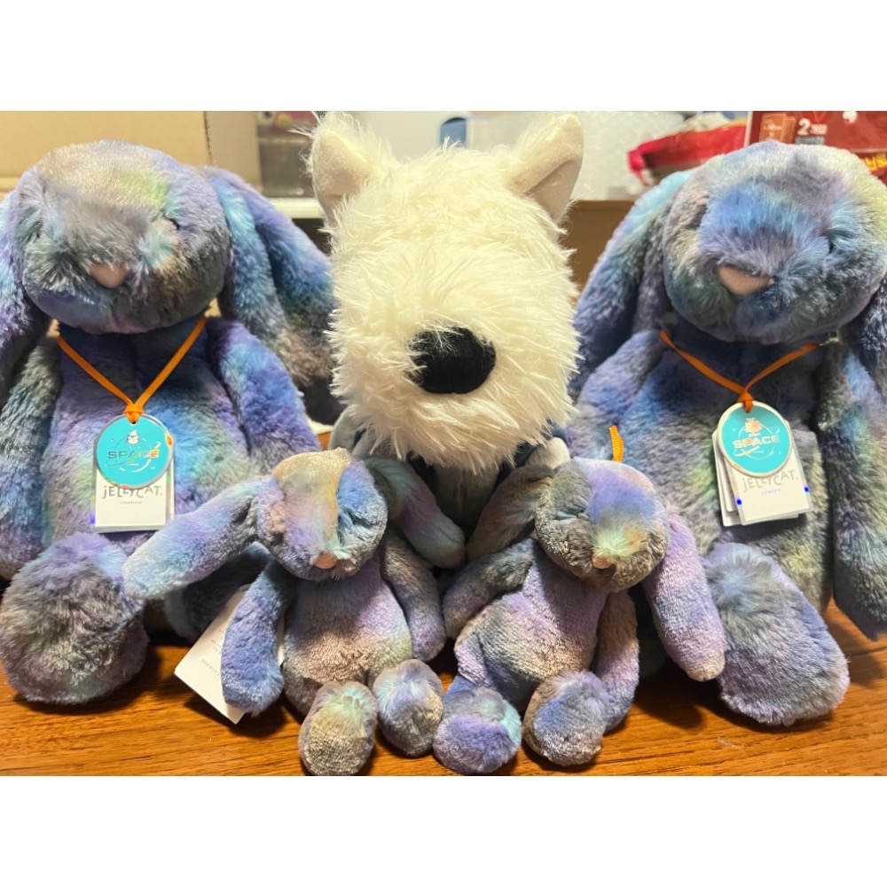 jELLYCAT 聖水洞代購 太空版玩偶 兔兔 蘇格蘭犬 現貨在台-規格圖4