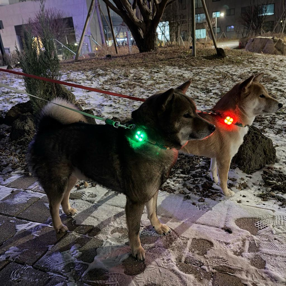 韓國🇰🇷史努比 Snoopy 寵物夜間散步警示燈🚨-細節圖2