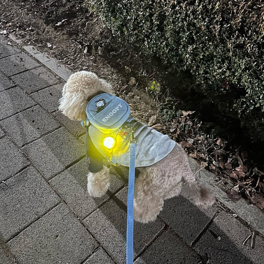 韓國🇰🇷史努比 Snoopy 寵物夜間散步警示燈🚨-細節圖3