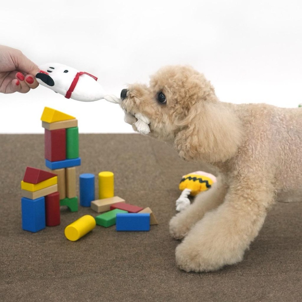 韓國🇰🇷Parisdog Snoopy peanuts寵物蛋型啾啾結繩拉扯玩具 查理布朗 史努比-細節圖3