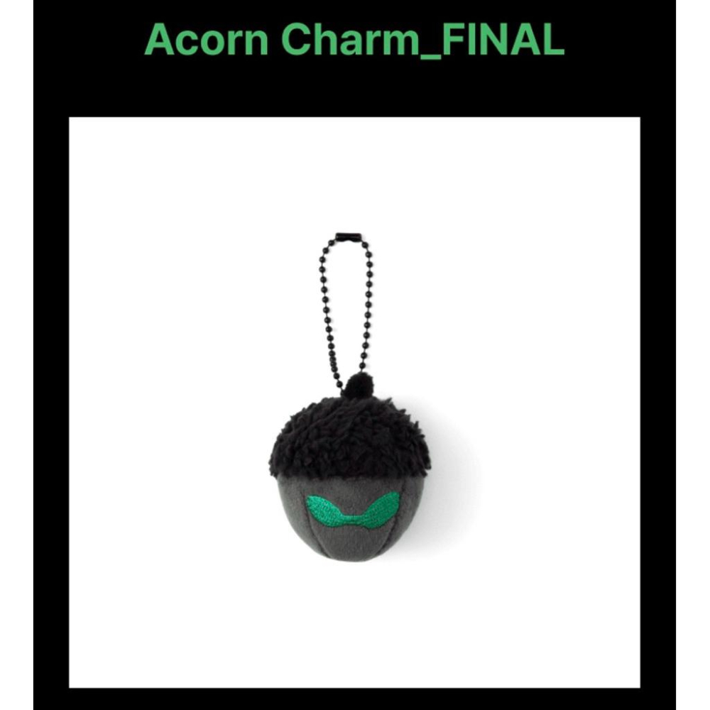 BTS J-Hope 巡迴演唱會 final場週邊  台北場橡果 橡果零錢包 交通卡C款 現貨🔥-細節圖5