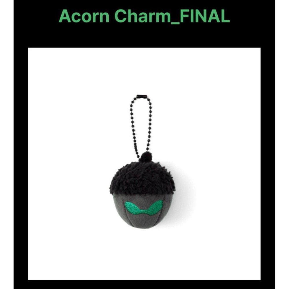 BTS J-Hope 巡迴演唱會 final場週邊  台北場橡果 橡果零錢包 交通卡C款 現貨🔥-細節圖5