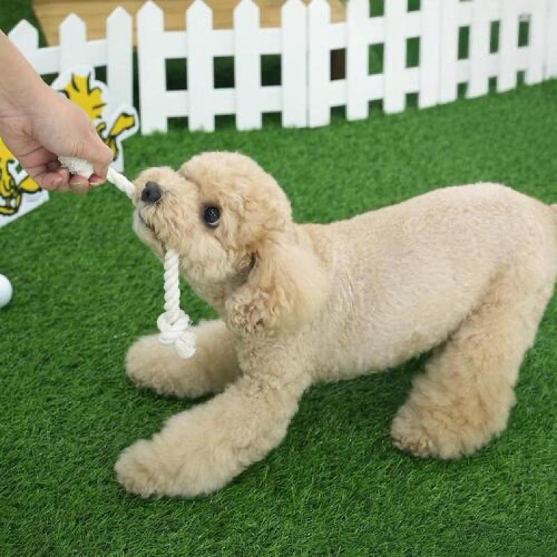 韓國🇰🇷 Snoopy 狗狗拉扯玩具 網球/高爾夫球-細節圖3