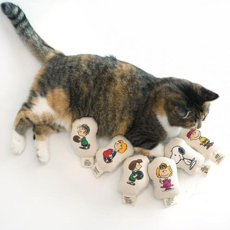 韓國🇰🇷 Snoopy 貓薄荷玩具包 莎莉/查理布朗/謝勒德/佩蒂/奈勒斯-細節圖4