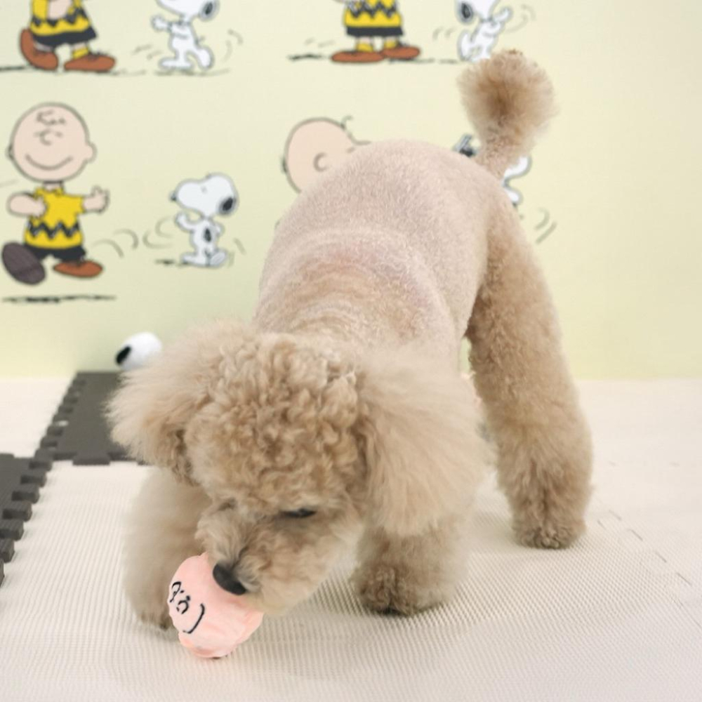 Snoopy 史努比 啾啾球寵物玩具 查理布朗 史努比-細節圖2