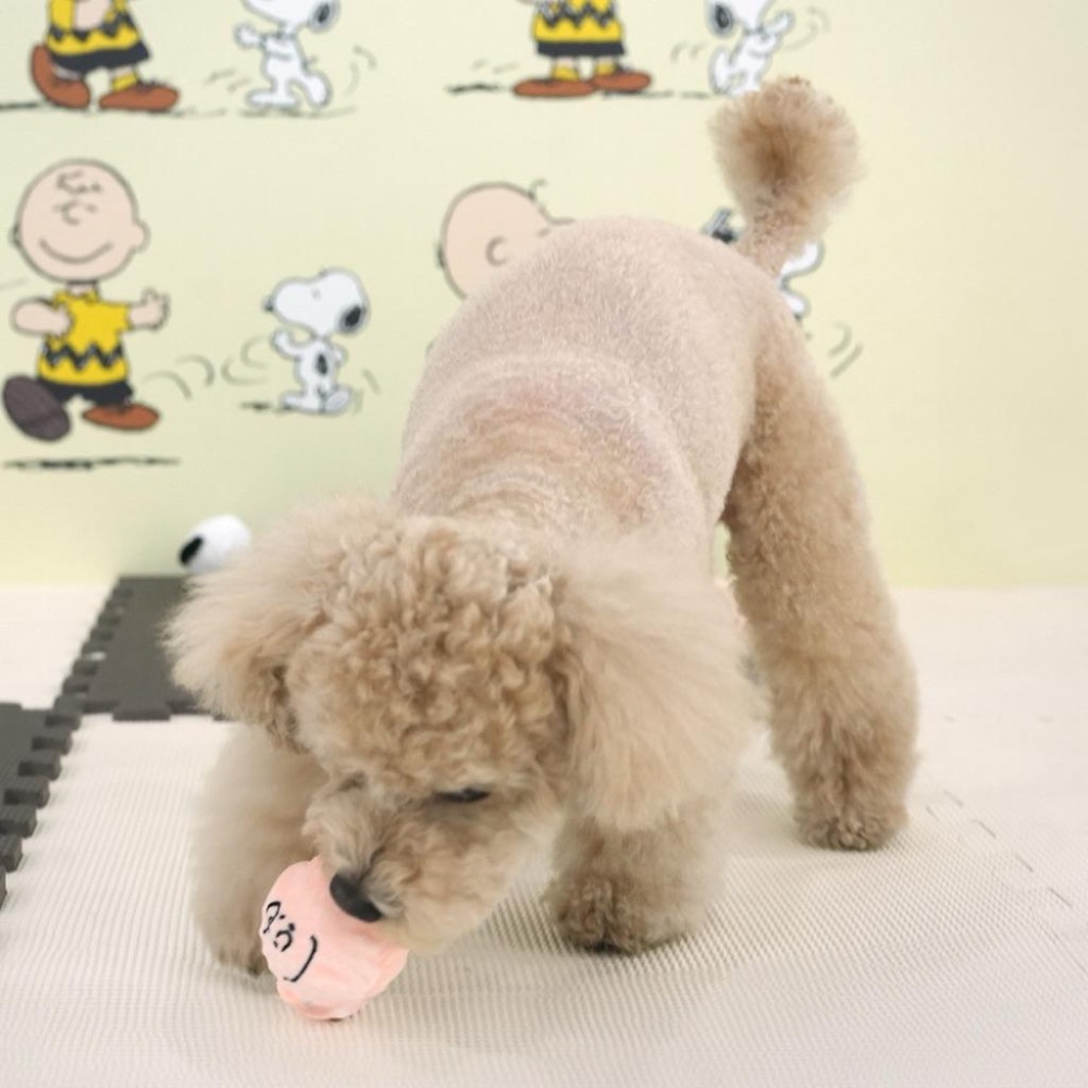 Snoopy 史努比 啾啾球寵物玩具 查理布朗 史努比-細節圖2