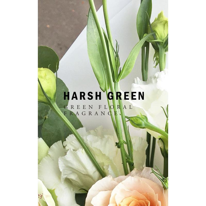 Loe 室內及織物噴霧white shirts（柾國香味）-細節圖3