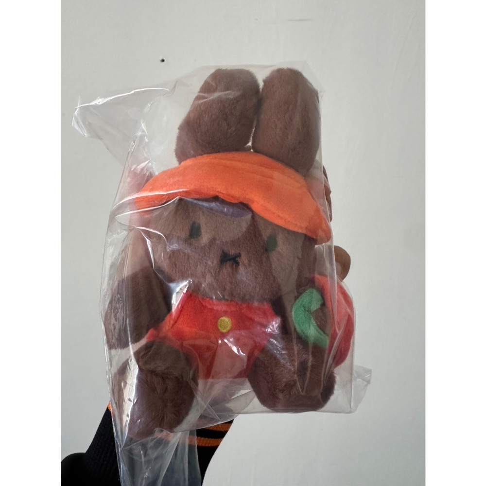 濟州島限定米菲兔吊飾-規格圖9