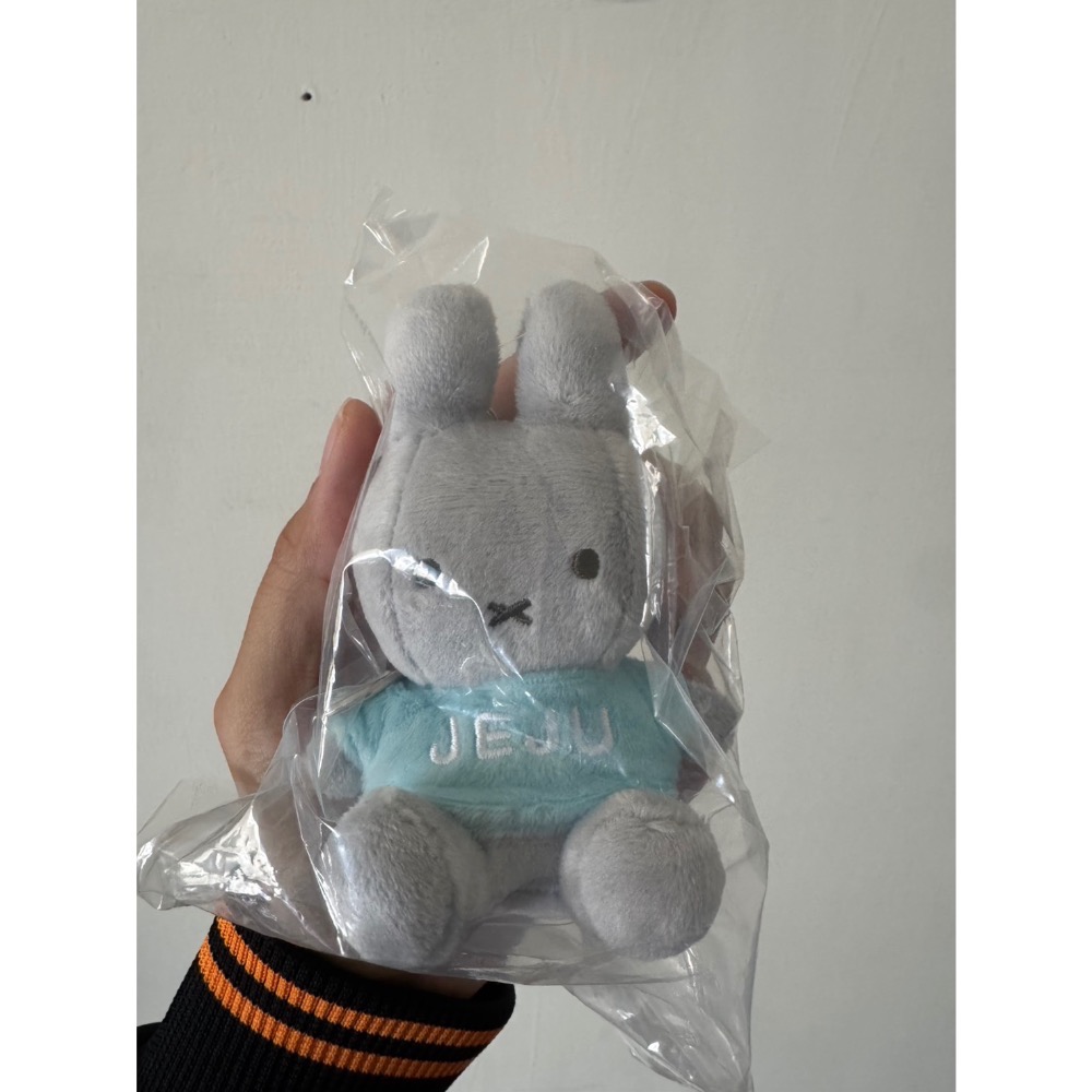 藍背心灰色米菲