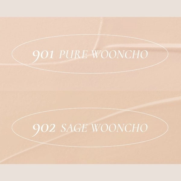 【現貨】韓國Dinto 空氣感絲絨啞光氣墊粉餅 #902 12g 遮瑕 隔離 淡化細紋 亮白-細節圖5