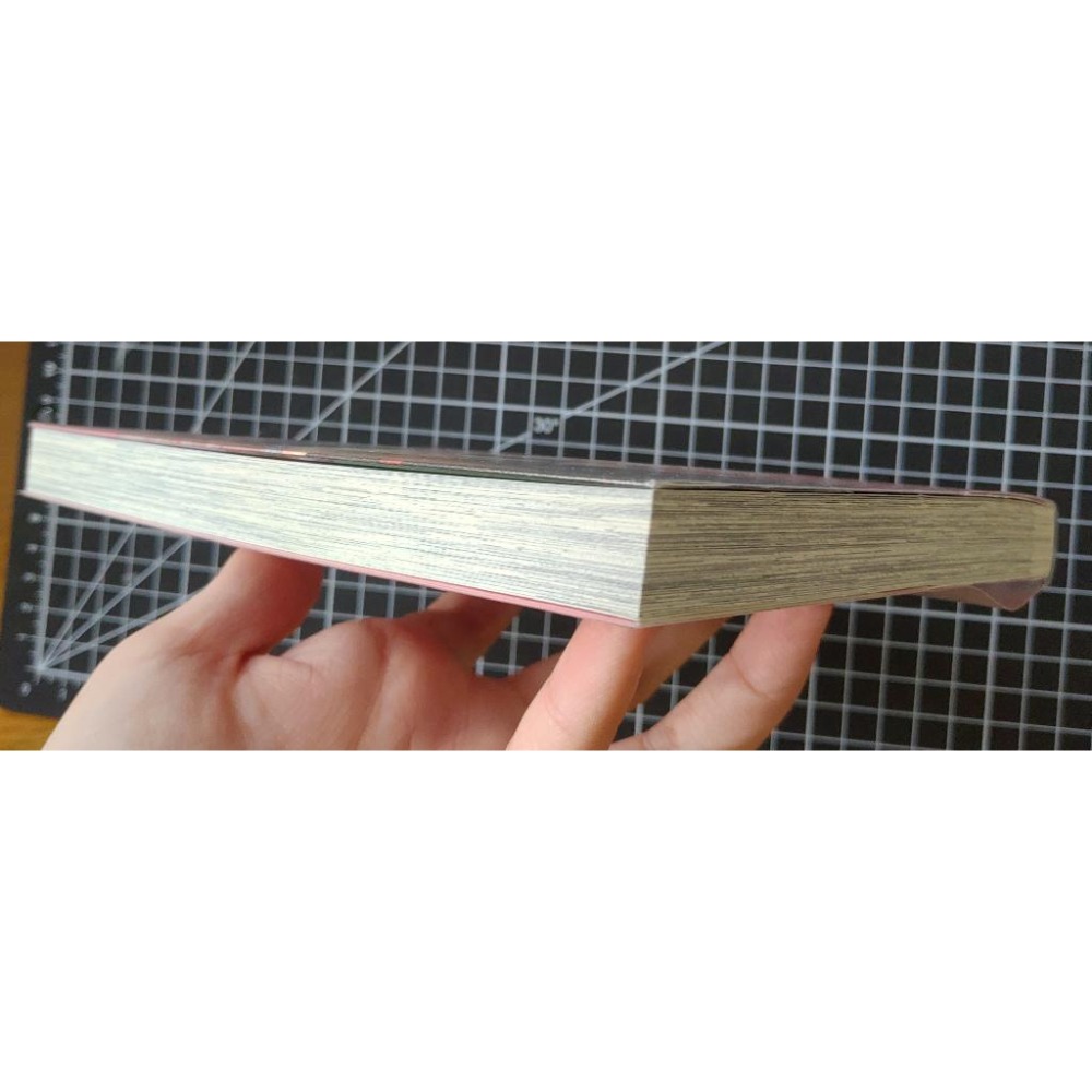 你的吻有謊言的味道 1 / サガミ ワカ-細節圖4