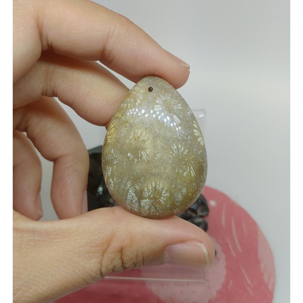 天然印尼產 珊瑚玉墬子/煙花圖案-細節圖2