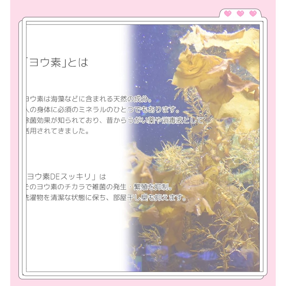 日本製 🇯🇵 BIG BIO 洗衣用除菌劑 除菌 抗菌 洗衣槽 衣物 味道管理 碘DE清爽-細節圖6