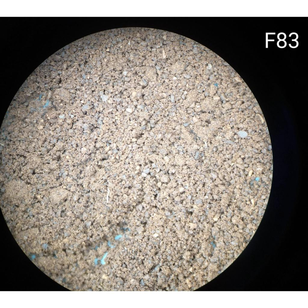 Fiorenzato F83 磨豆機刀盤校正  刀盤翻新校正 義式磨豆機 平刀平行度校正Mazzer 楊家900n-細節圖5