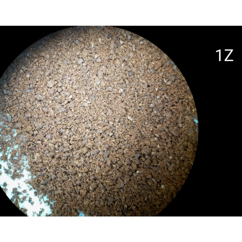 Fiorenzato F83 磨豆機刀盤校正  刀盤翻新校正 義式磨豆機 平刀平行度校正Mazzer 楊家900n-細節圖7